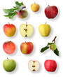 Apple collection