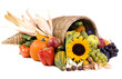 cornucopia
