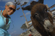 young woman with donkey