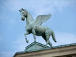 pegasus