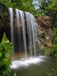 Waterfall At Botanic Garden