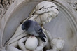 madonna rinascimentale con piccione