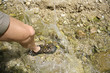 man walking in water with shoes