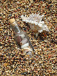 

Sea shells and stones in a bottle on sea-beach background