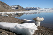 Glace et fjord au Spitzberg