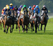 peloton de chevaux lors d'une course plate