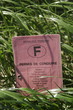 Permis de conduire