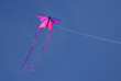 Butterfly kite