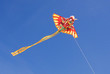 Dragon kite