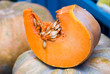 kürbis pumpkin