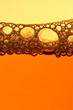Beer bubbles Beer bubbles