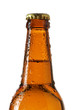 Neck of beer bottle Neck of beer bottle