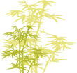 bamboo tree