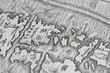 Terra Nova