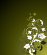 Floral background. Vector Floral background. Vector