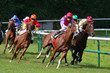 Photographie : La grande course 17