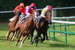 Photo : La grande course 16