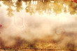 aquarelle grunge background