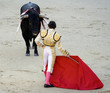 Bullfight 2