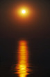 Moonlight