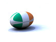Image : Ballon rugby Irlande