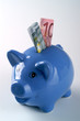 Sparschwein - 30 Euro