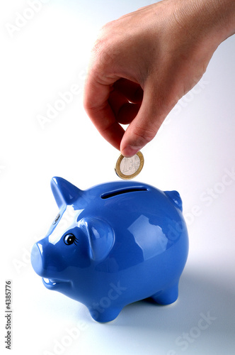 Sparschwein - Euro