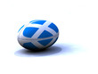 Photo : Ballon Rugby Ecosse