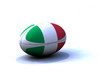 Image : Ballon Rugby Italie