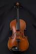 Violine 1