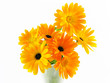 Bouquet de soucis / calendula Bouquet de soucis / calendula
