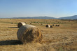 Farm field harvest