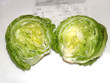 Lettuce Sprinkle Lettuce Sprinkle