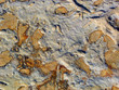 Rocks Rocks