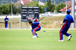 Cricket Game