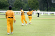 Cricket Game