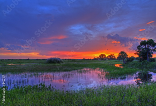 Everglades sunset