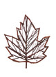 Maple Leaf