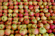 lots of apples