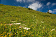 Beauty landscape Beauty landscape