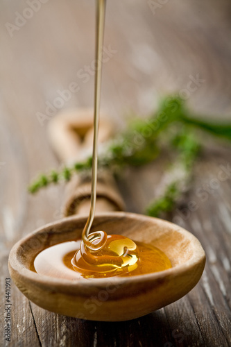 wild honey