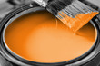 orange house paint