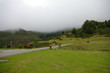 Paysage Pastoral (Col d'aspin)