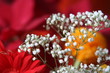 Floral background