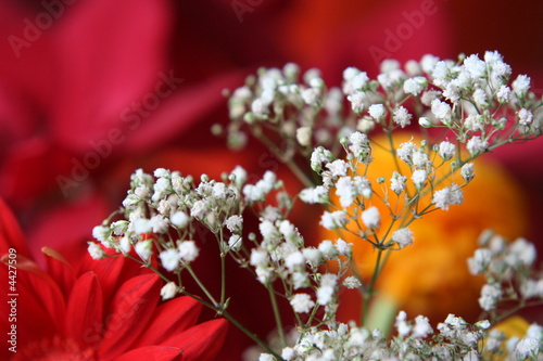 Photo: Floral background Floral background