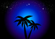 Palm Trees At Night