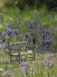 Fragrance of Summer