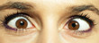 Regard_2