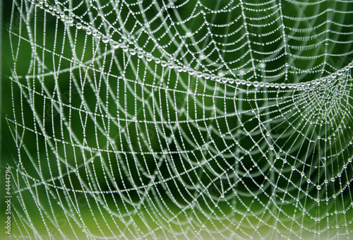 Photo: Netzwerk Netzwerk