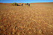 Africa Namibia